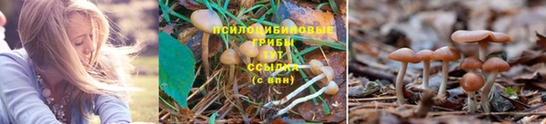трава Лихославль