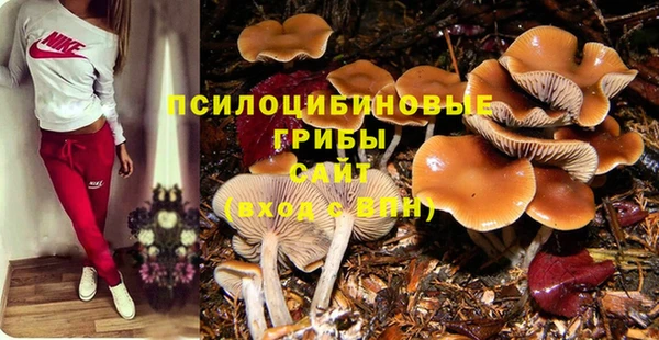 дживик Магадан